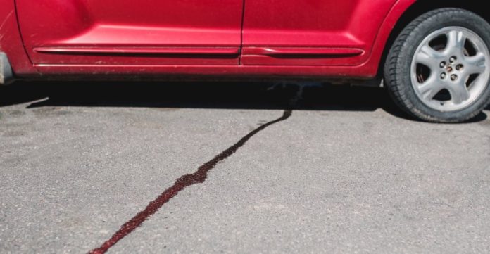 Oil Leak